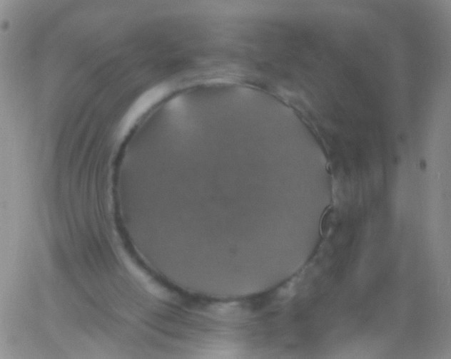 X0000060770054200512082044