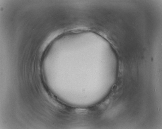 X0000060770055200512082044