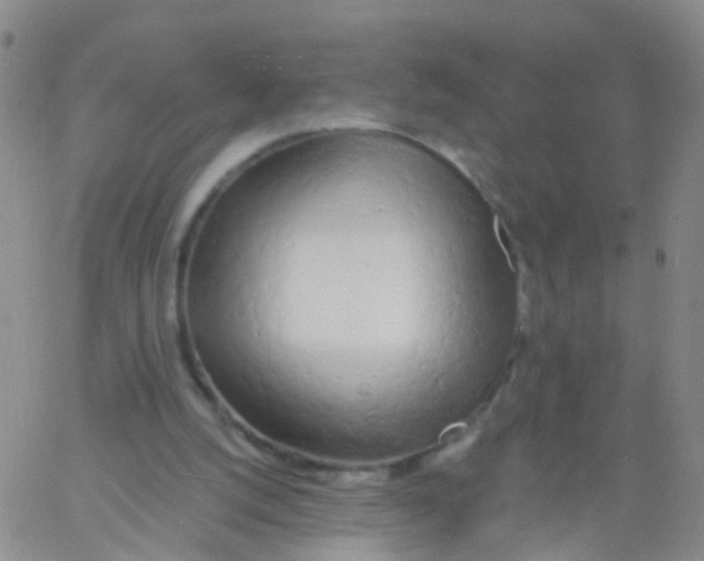 X0000060770056200512082044