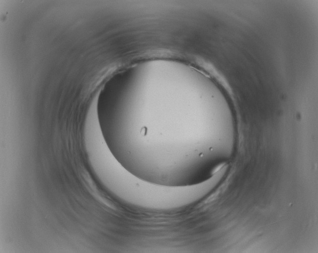 X0000060770057200512082044