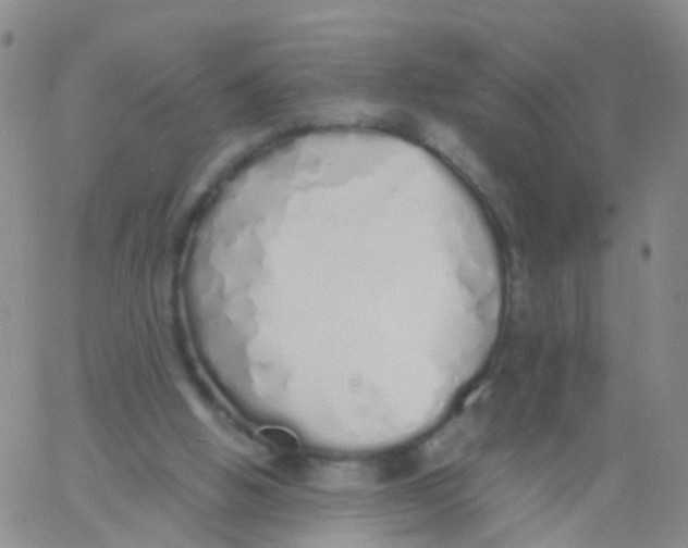 X0000060770058200512082044