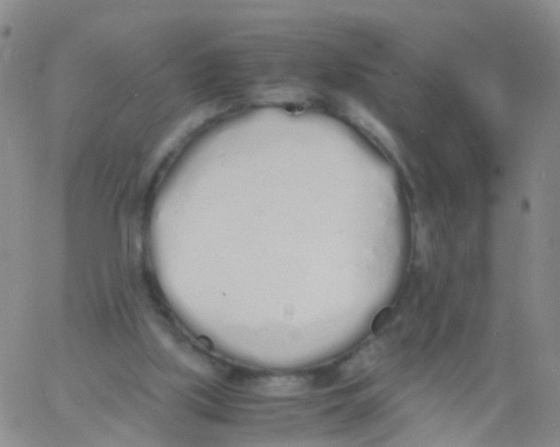 X0000060770059200512082044