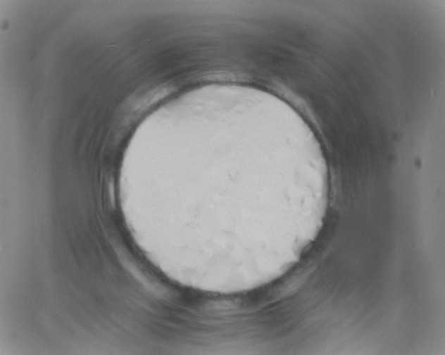 X0000060770061200512082044