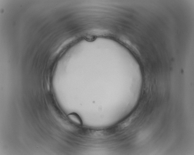 X0000060770062200512082044