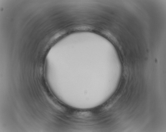 X0000060770063200512082044