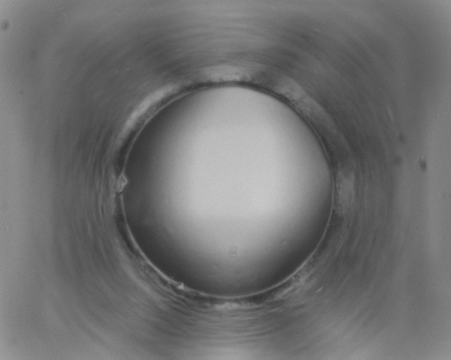 X0000060770064200512082044