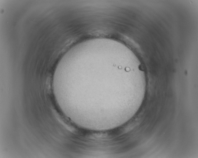 X0000060770065200512082044