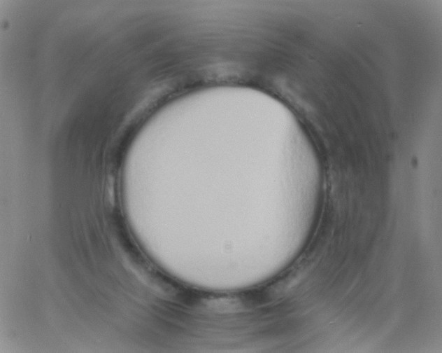 X0000060770067200512082044