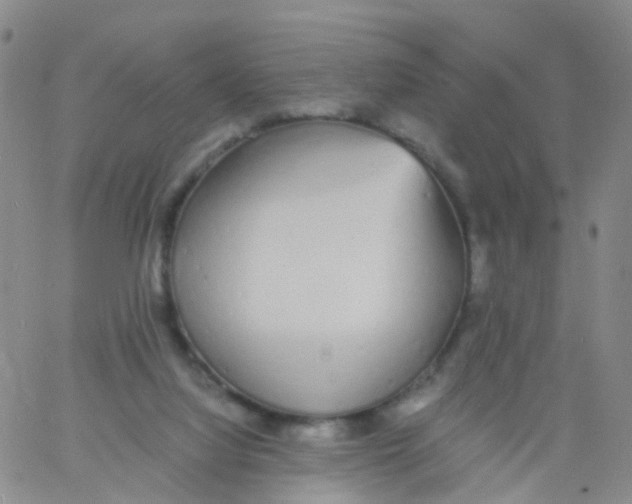 X0000060770068200512082044