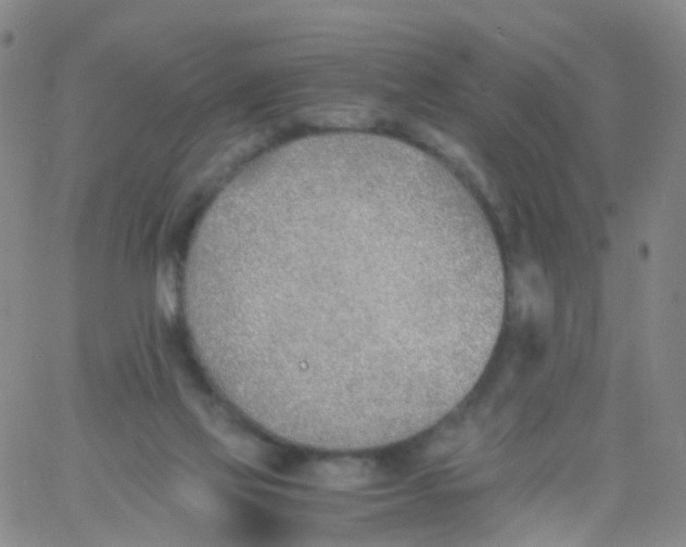 X0000060770069200512082044