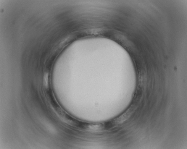 X0000060770070200512082044