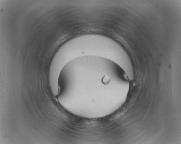 X0000060770071200512082044