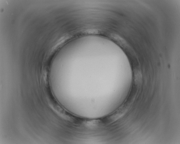 X0000060770072200512082044