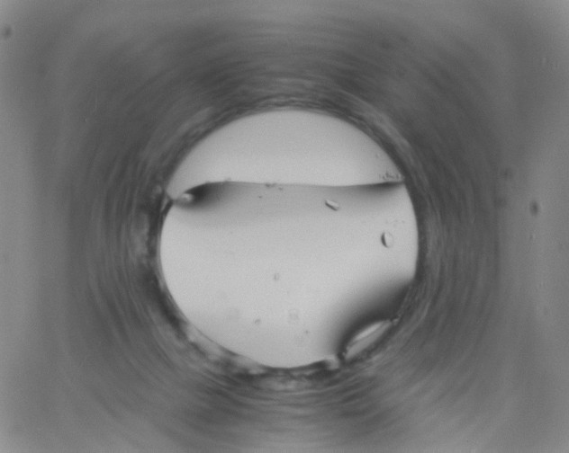 X0000060770073200512082044