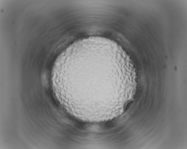 X0000060770074200512082044