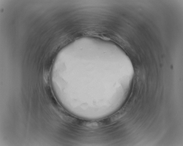 X0000060770075200512082044