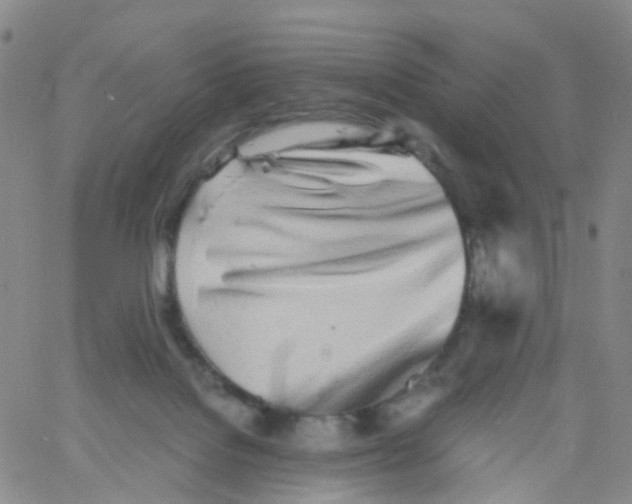 X0000060770076200512082044