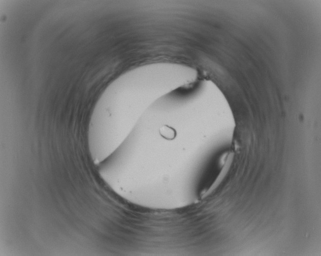 X0000060770077200512082044