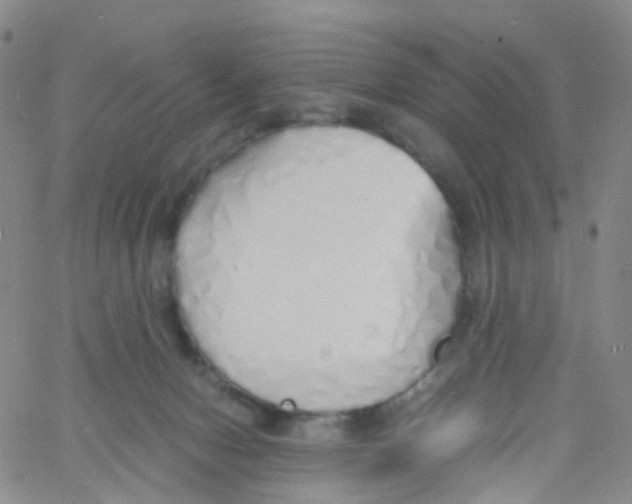 X0000060770078200512082044