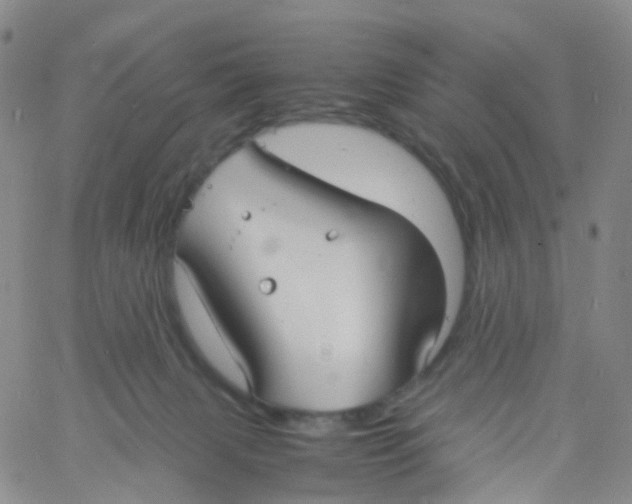 X0000060770079200512082044