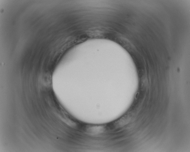 X0000060770081200512082044