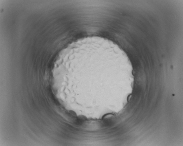 X0000060770082200512082044