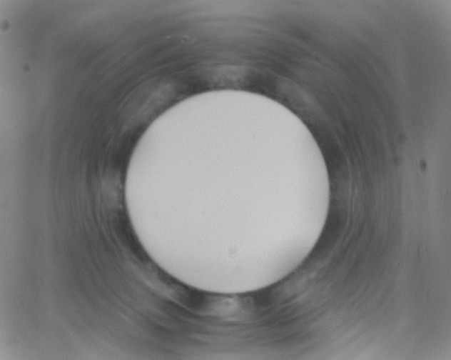 X0000060770083200512082044