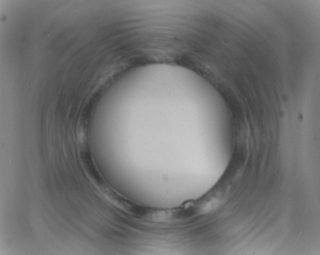 X0000060770084200512082044