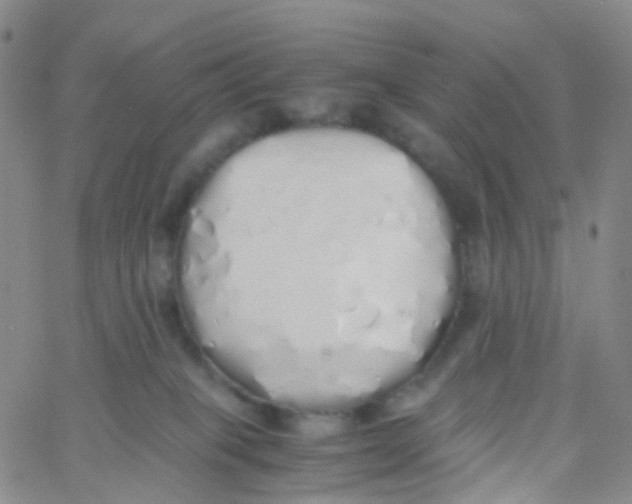 X0000060770085200512082044