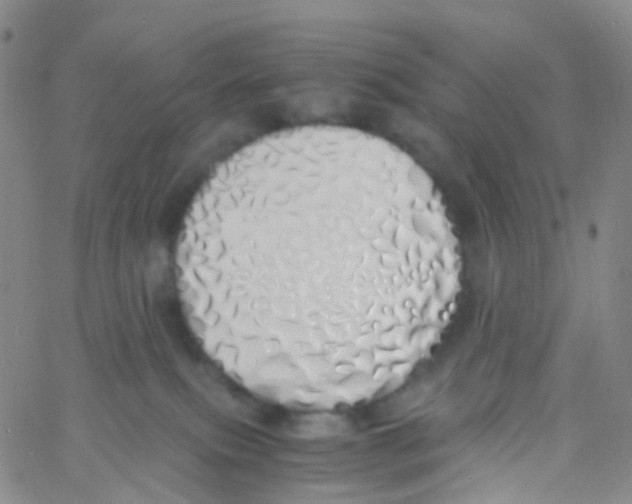 X0000060770087200512082044