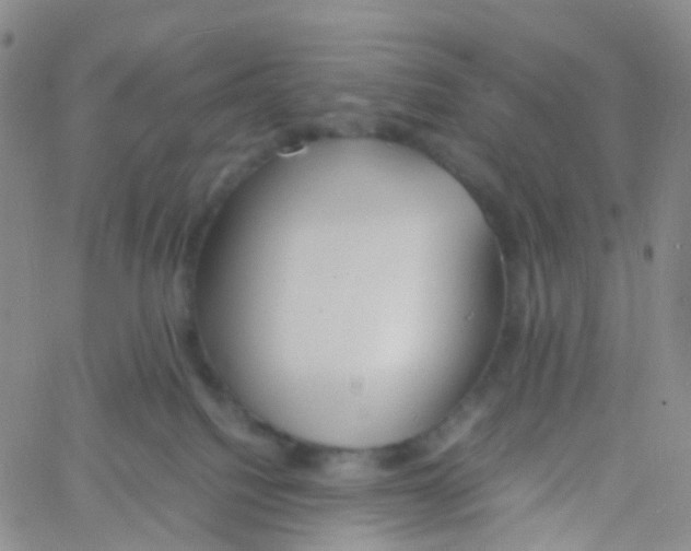 X0000060770088200512082044