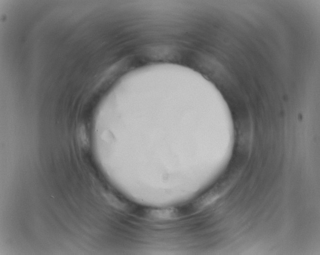 X0000060770089200512082044