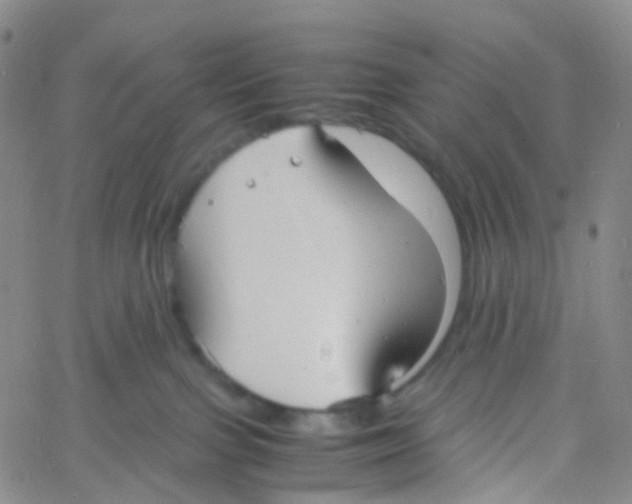 X0000060770091200512082044