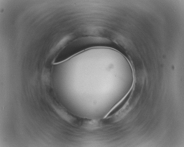 X0000060770092200512082044