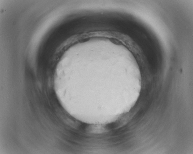 X0000060770093200512082044