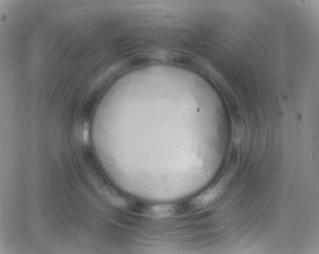 X0000060770095200512082044