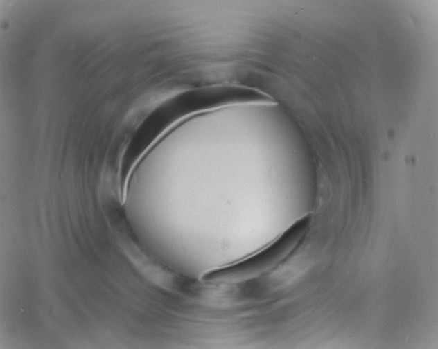 X0000060770096200512082044