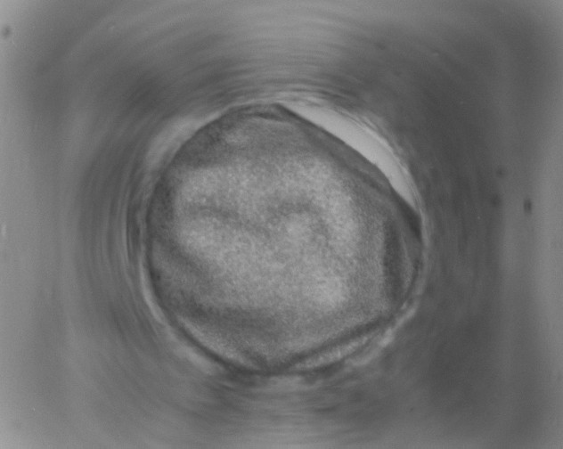 X0000060770097200512082044