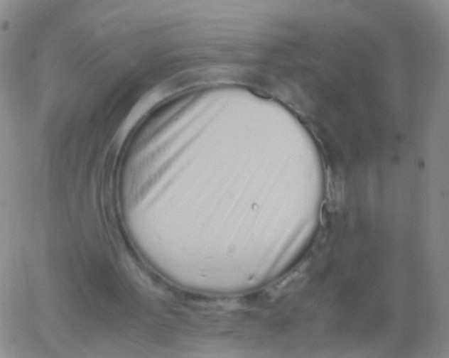 X0000060770099200512082044