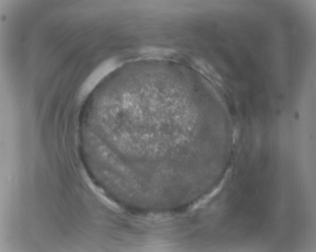 X0000060770101200512082044