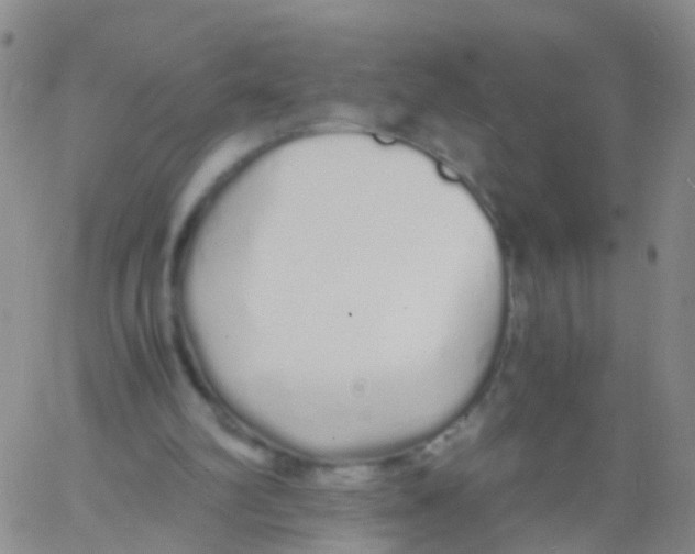 X0000060770102200512082043