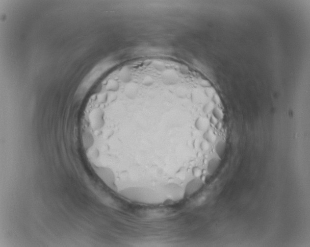 X0000060770103200512082043