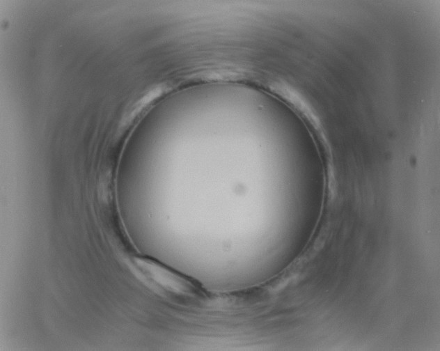 X0000060770105200512082043