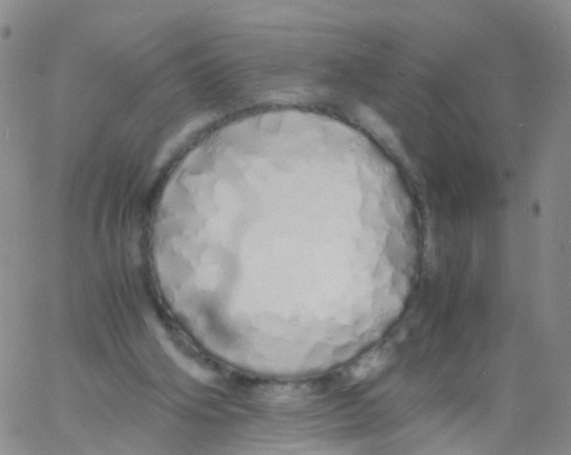 X0000060770106200512082043