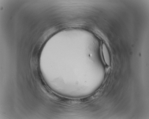 X0000060770107200512082043