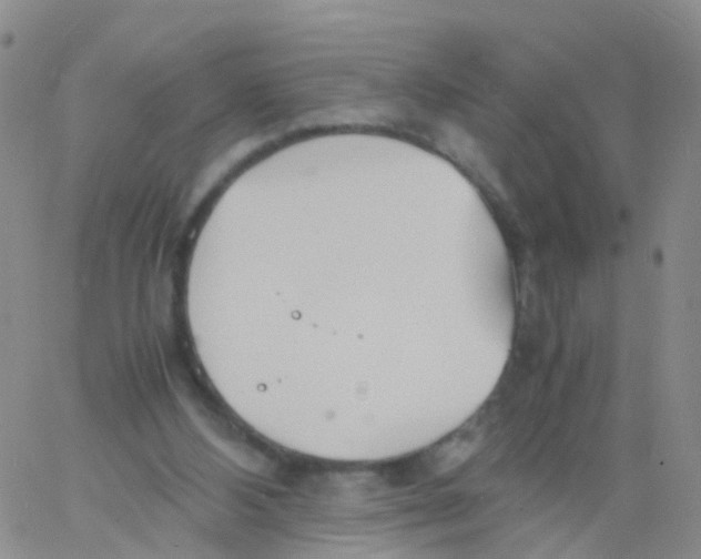 X0000060770108200512082043