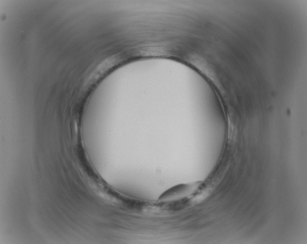 X0000060770109200512082043