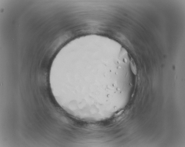 X0000060770111200512082043