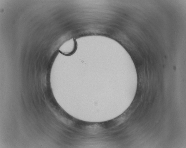 X0000060770112200512082043