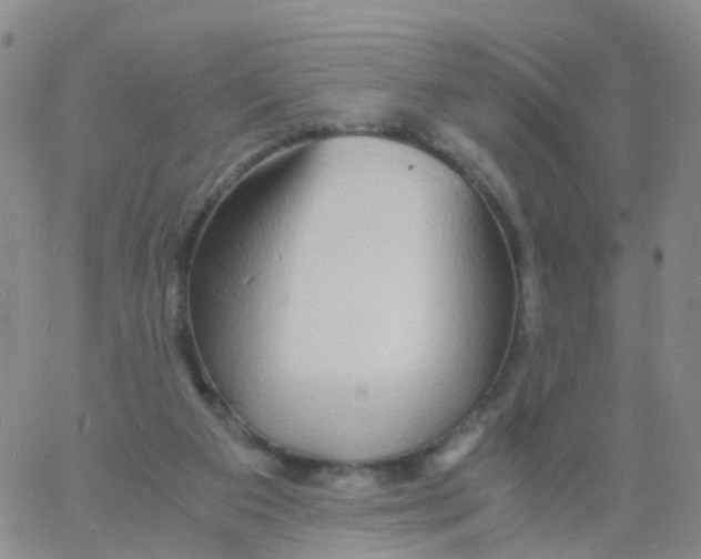 X0000060770113200512082043